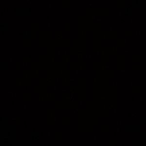 Meet your Posher, Adalina